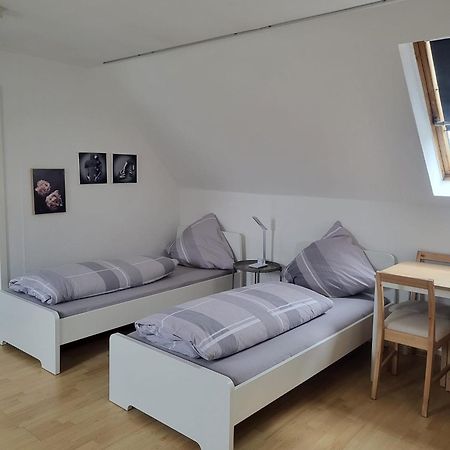 A&V Apartments Gemuetliche Rheinblick Wohnung Apt Daisy دوسبرغ المظهر الخارجي الصورة