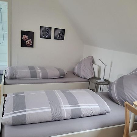 A&V Apartments Gemuetliche Rheinblick Wohnung Apt Daisy دوسبرغ المظهر الخارجي الصورة