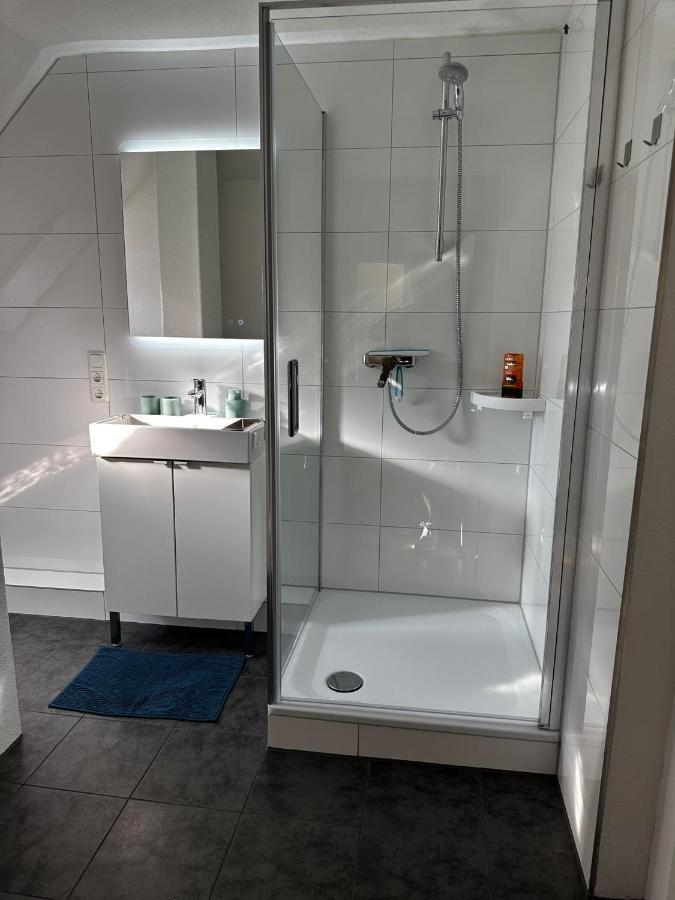 A&V Apartments Gemuetliche Rheinblick Wohnung Apt Daisy دوسبرغ المظهر الخارجي الصورة