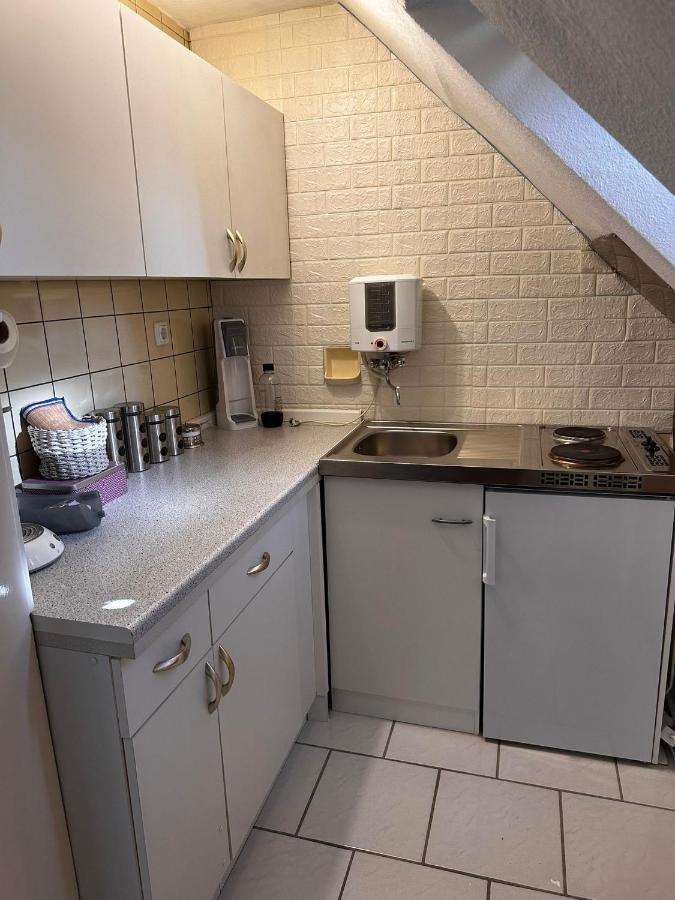 A&V Apartments Gemuetliche Rheinblick Wohnung Apt Daisy دوسبرغ المظهر الخارجي الصورة