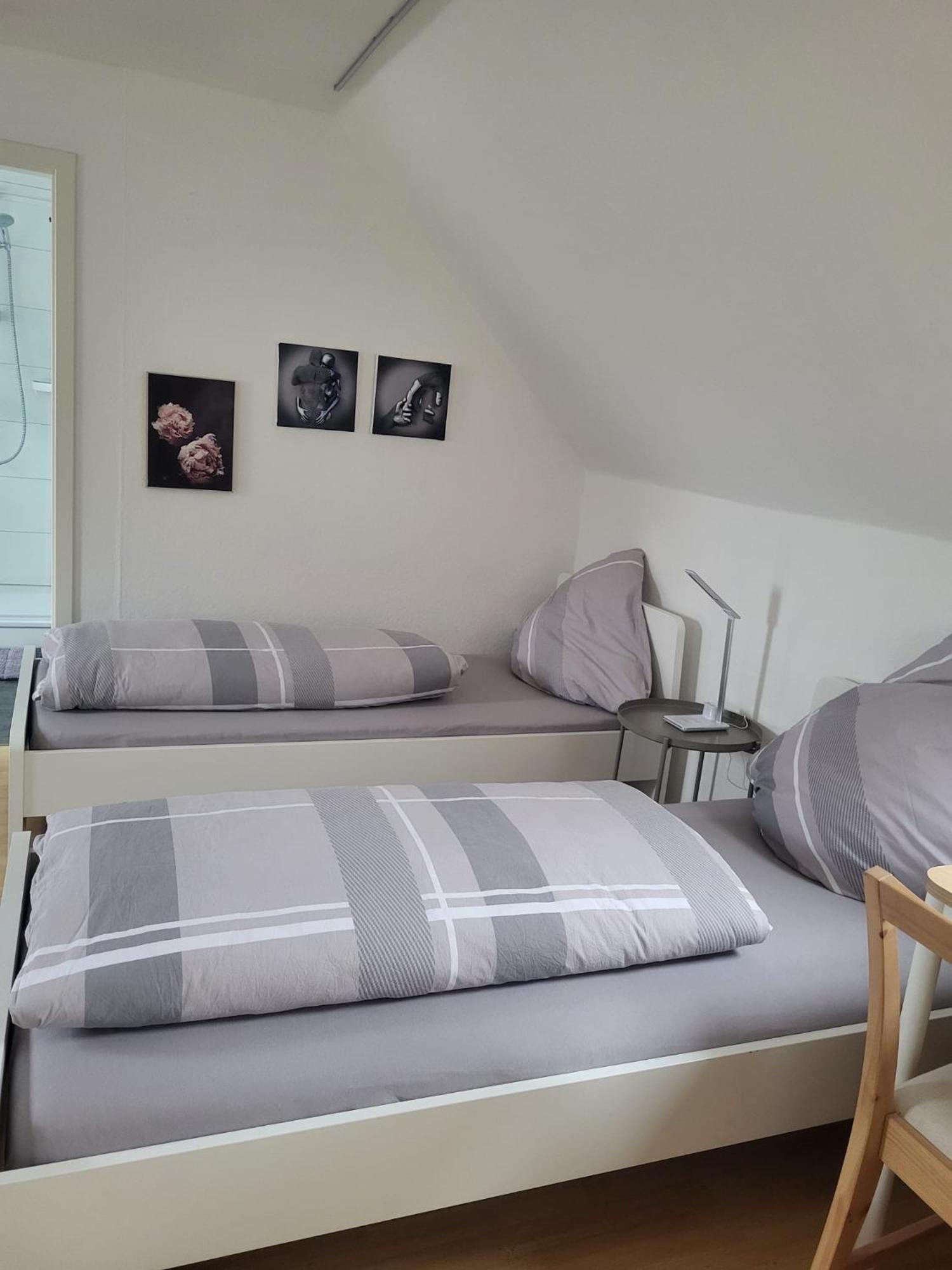 A&V Apartments Gemuetliche Rheinblick Wohnung Apt Daisy دوسبرغ المظهر الخارجي الصورة
